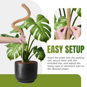 Mcbazel sturdy moss pole base resists moisture and rust for long term stability.