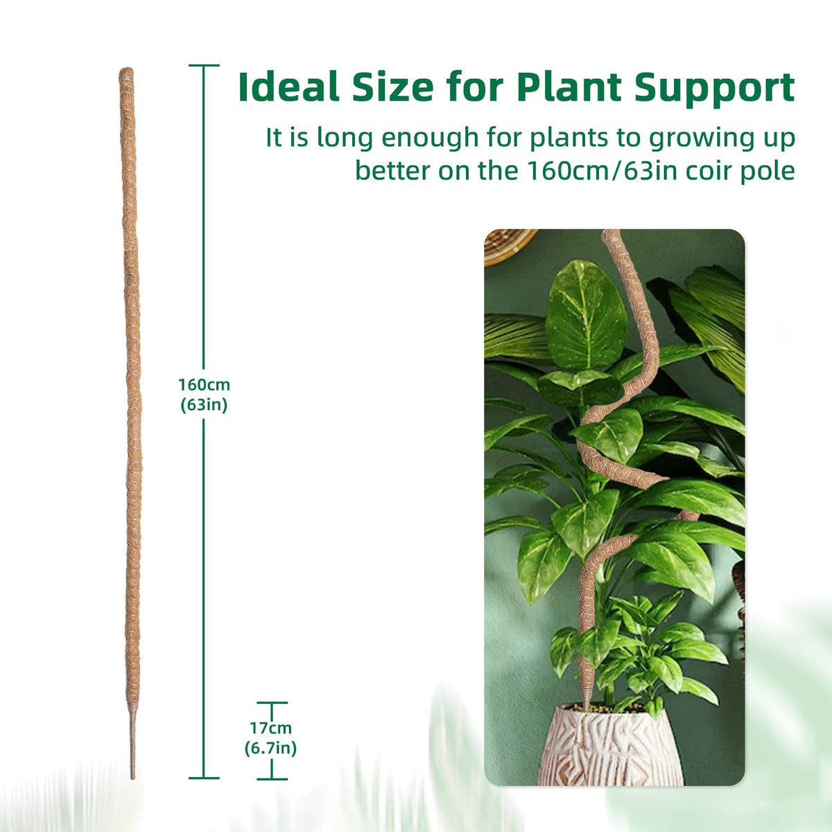 Mcbazel sturdy 5.25-foot stake sits beside tall plant for stable, wobble-free support.