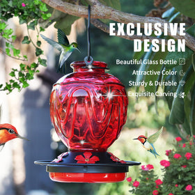 MCHBF hummingbird feeder perch and five ports invite peaceful bird visits
