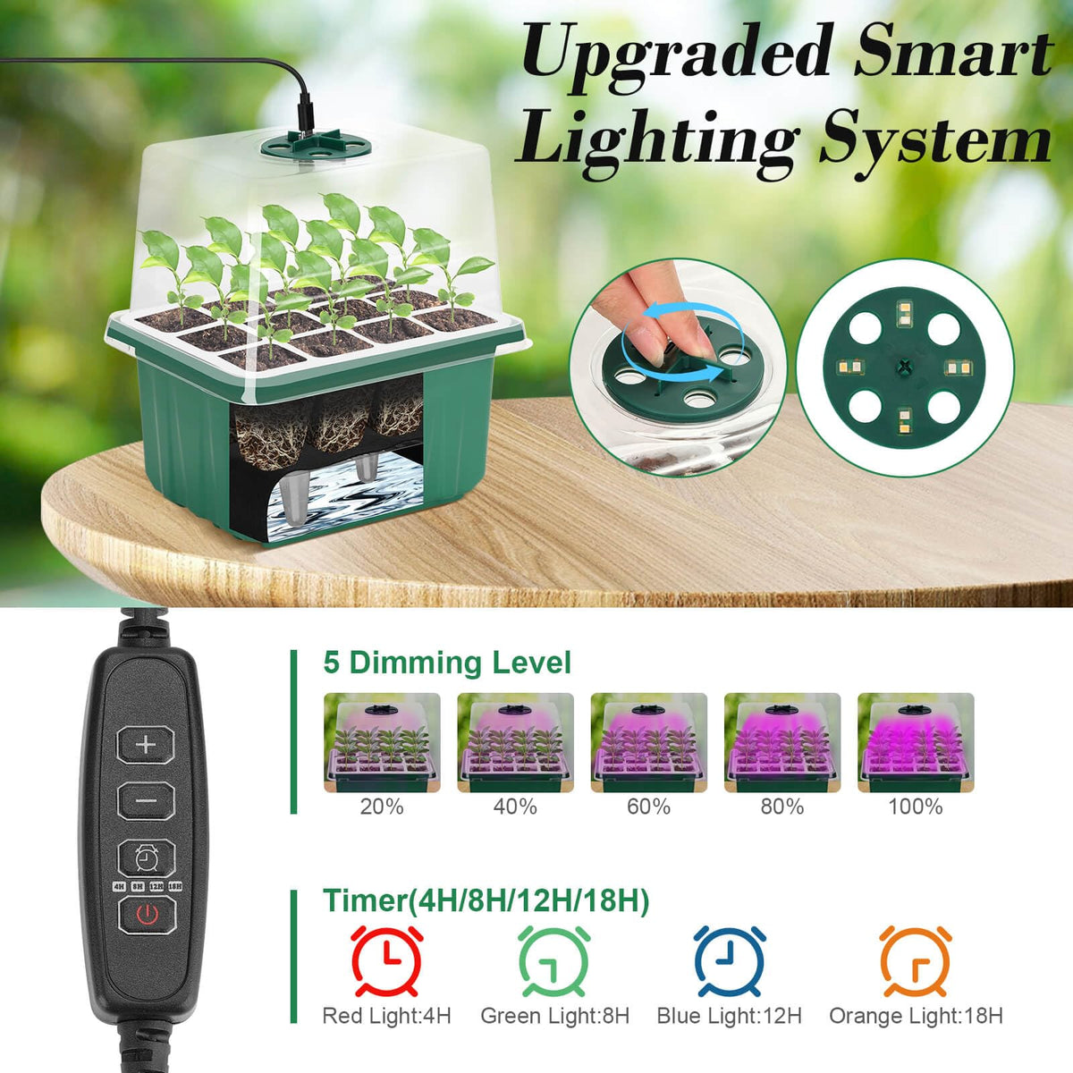 Durable 12-cell seed tray enabling clean transplanting