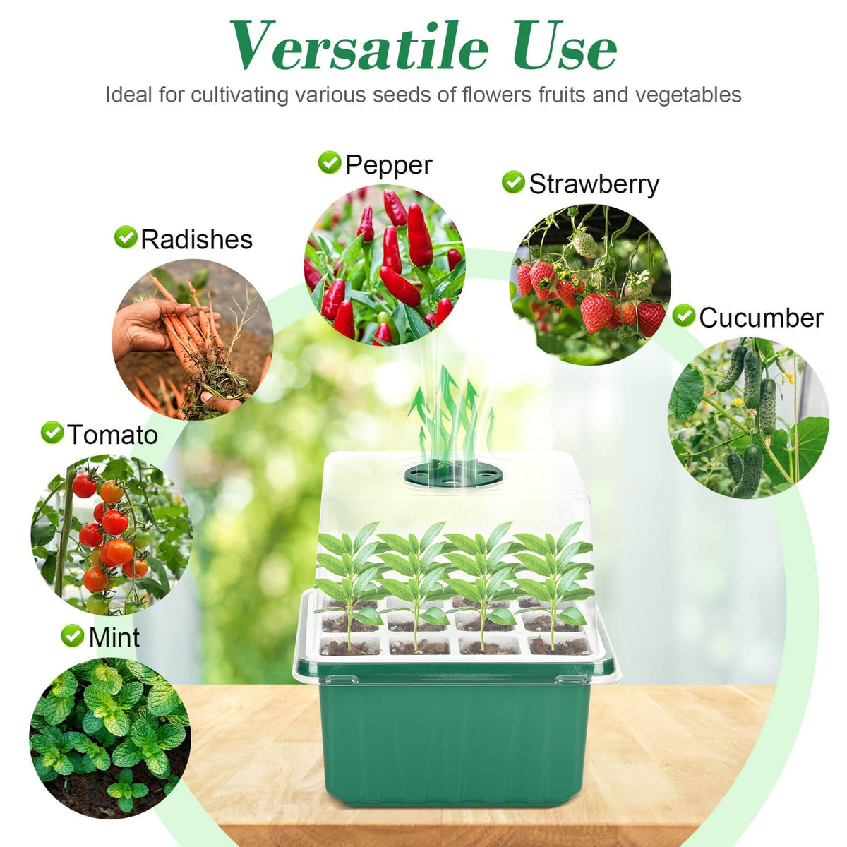 Complete Mckanti seed starter kit with all included tools and accessories