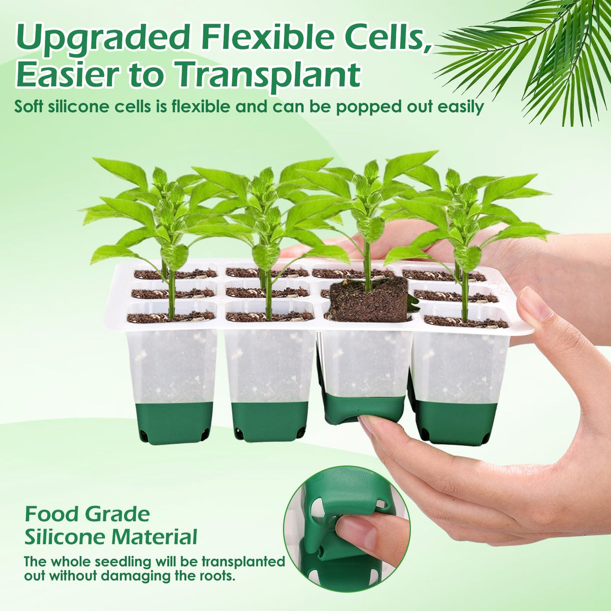 Mckanti transparent lid view to monitor seedlings without lifting.