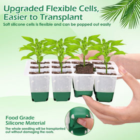 Mckanti transparent lid view to monitor seedlings without lifting.