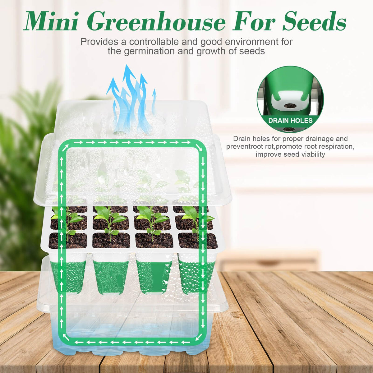 Mckanti seed starter tray clear dome lets you monitor seedlings.