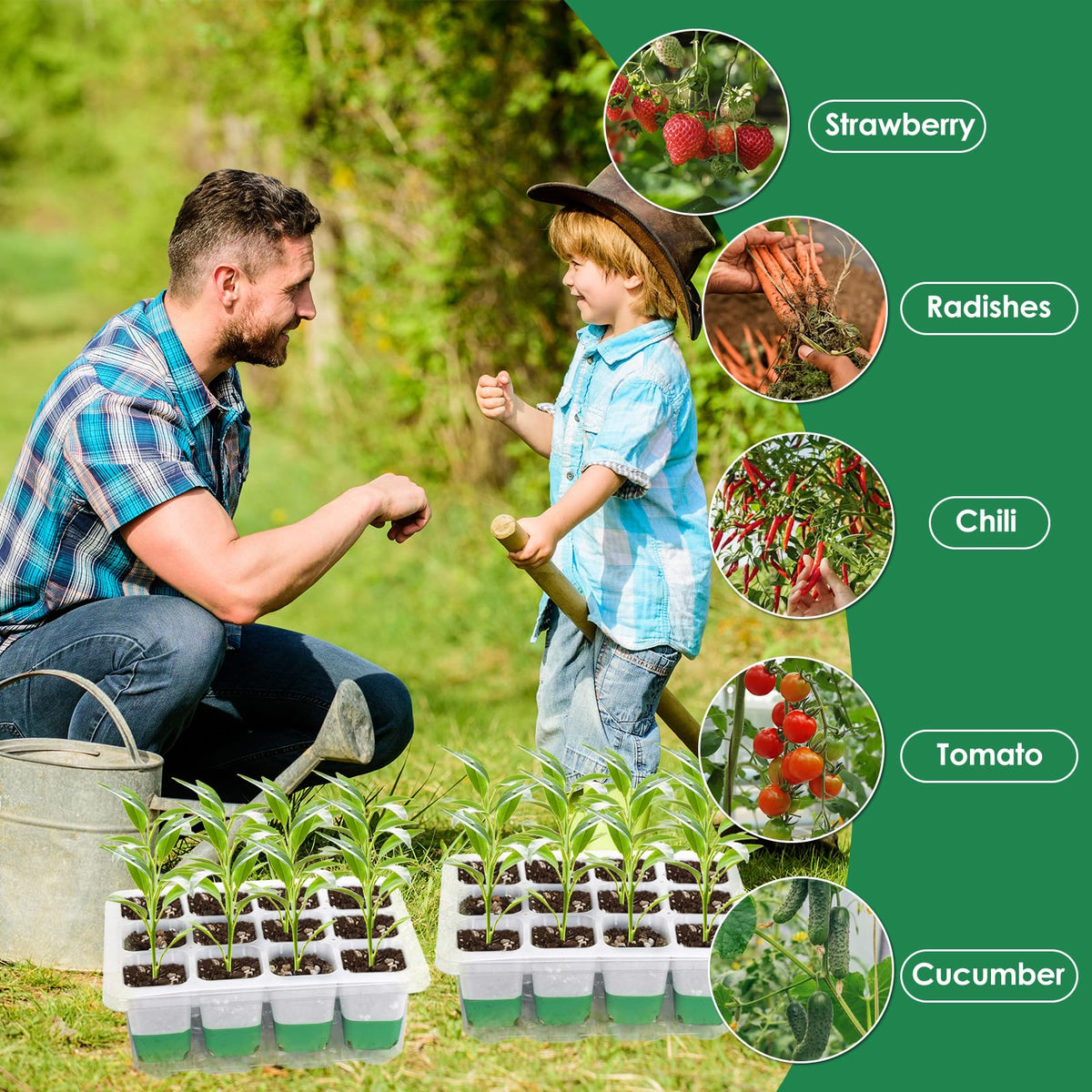 Mckanti seedling trays with drainage, protects roots during transplant.