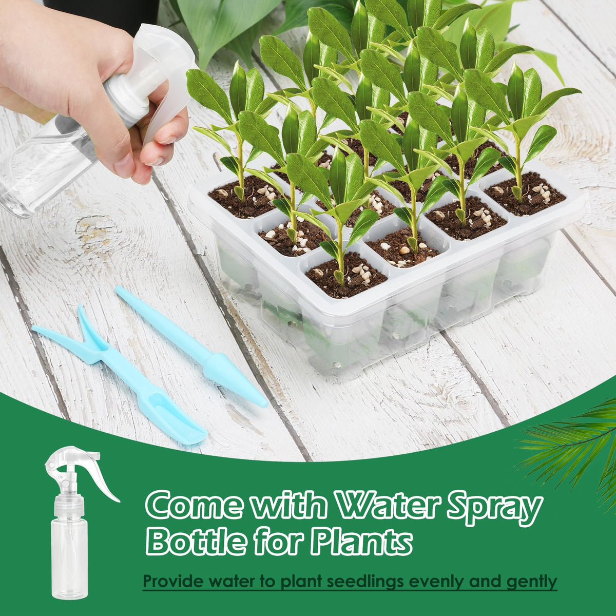 Mckanti water spray bottle for even, gentle watering.