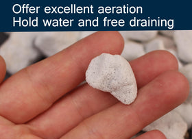MDPQT perlite added to potting mix improves drainage and root health