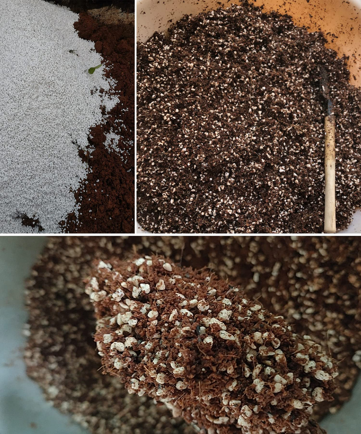 MDPQT perlite in a professional greenhouse setting aids uniform moisture and air balance.