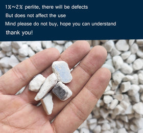 MDPQT perlite ready for soil mix prep and transplanting