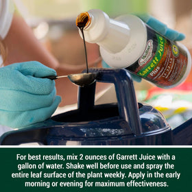 Medina Garrett Juice Plus garden application demonstrates versatile pot and bed use.