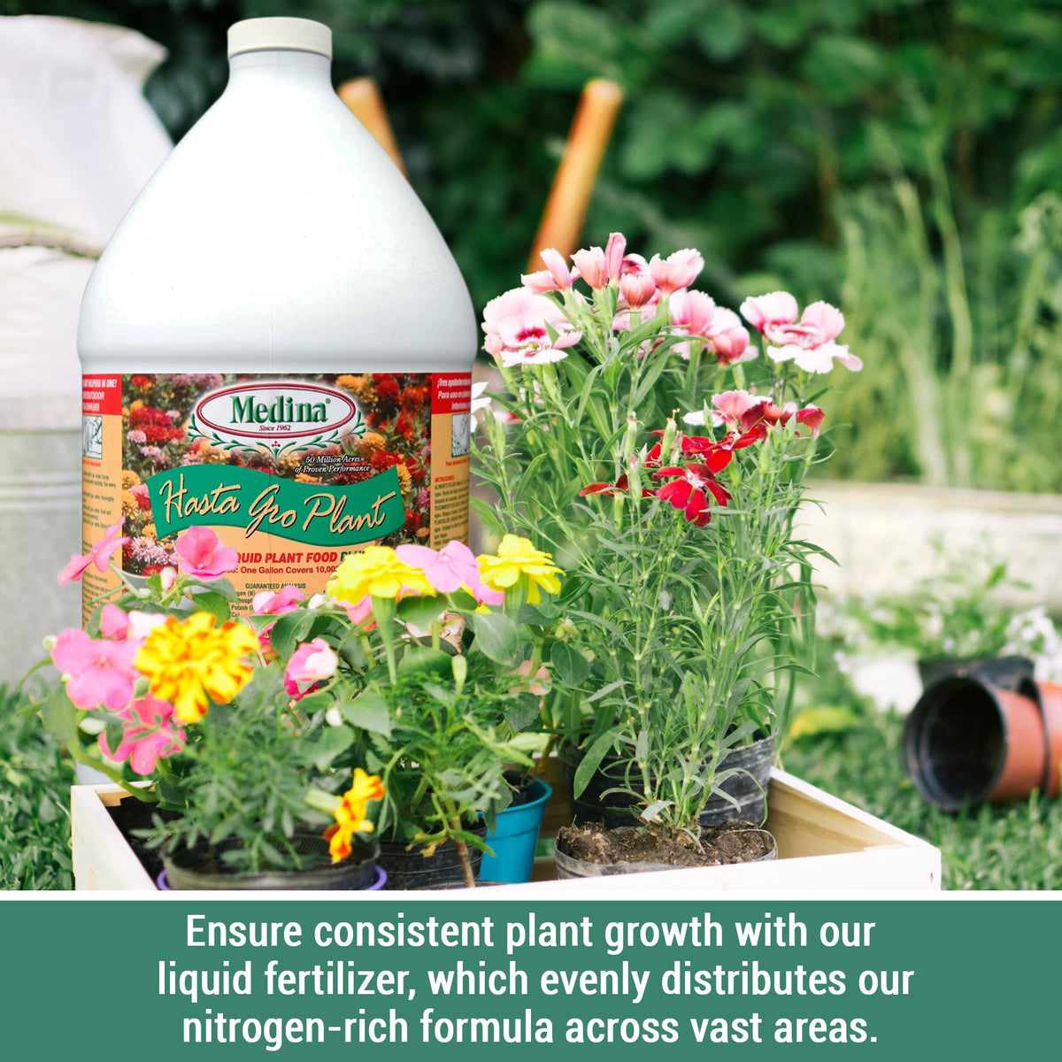 Medina HastaGro applied to soil illustration of even distribution for root health.