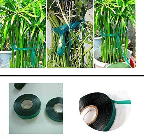 Medoore garden tie tape securing vines and vegetables.