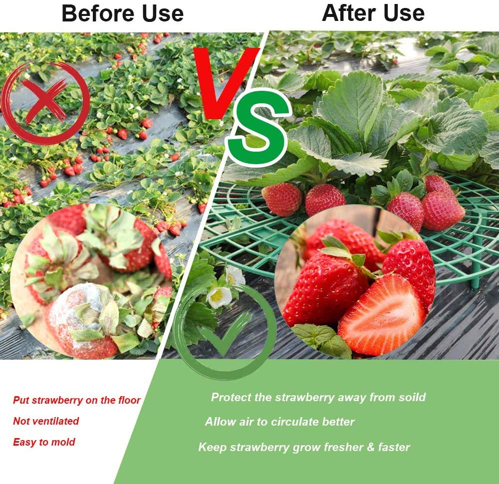 Medoore green plastic material showing reusable garden support for seasons