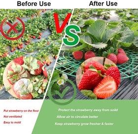 Medoore green plastic material showing reusable garden support for seasons