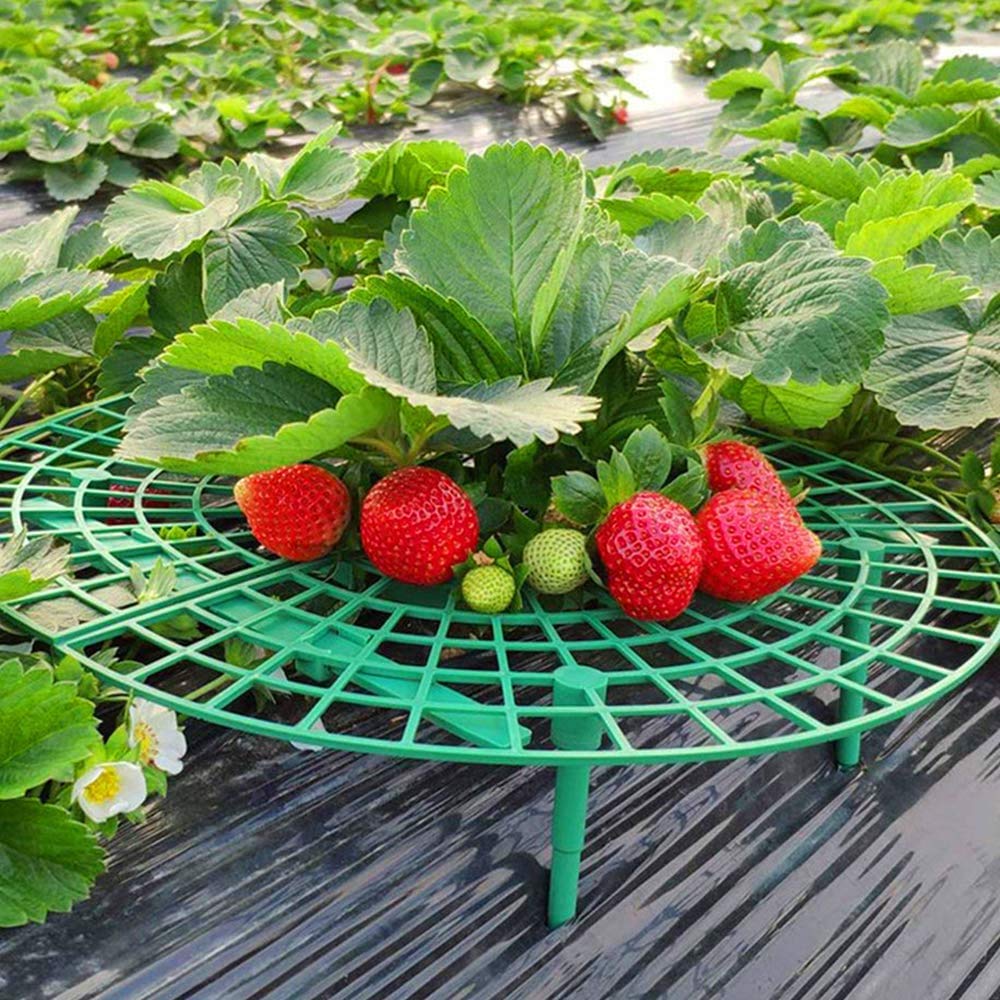 Medoore pot plants stable stand ensuring tidy pots and easier maintenance