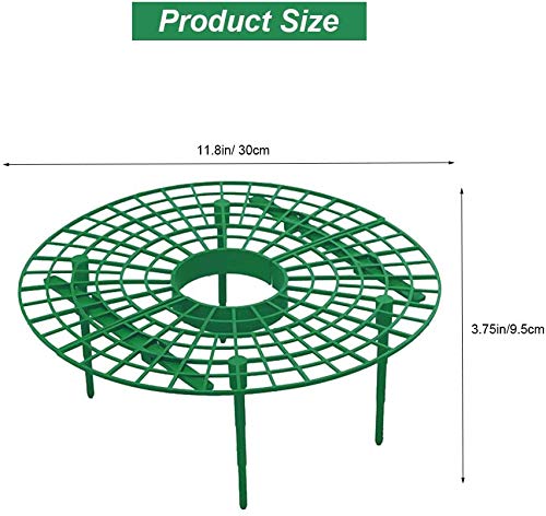Medoore strawberry rack on plant keeping fruit away from ground moisture