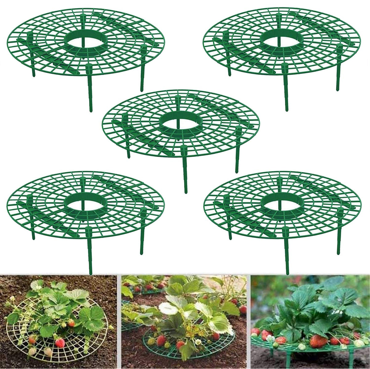 Medoore strawberry support assembly showing easy-to-connect design for sturdy fruit lifting