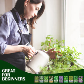 Meekear 10-Herb Kit arranged for easy garnishing and fresh flavor at home.
