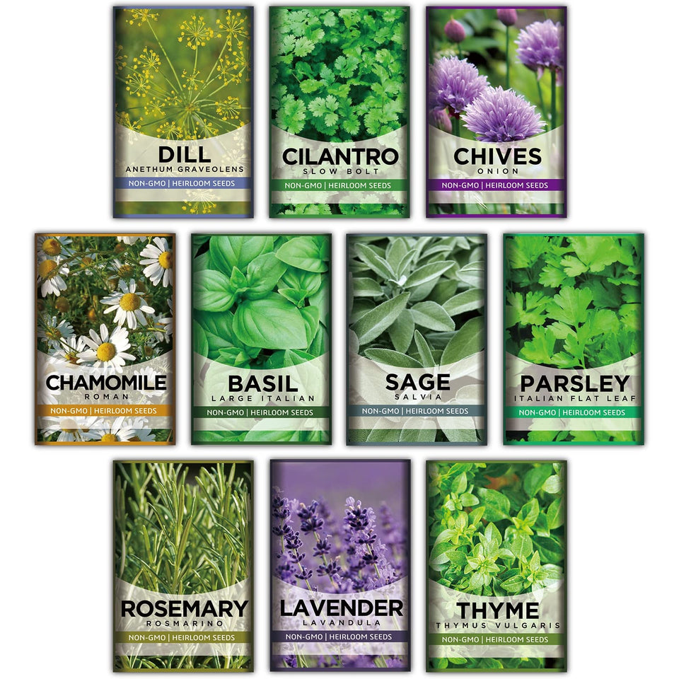 Meekear 10-Herb Kit on a sunny kitchen windowsill for fresh, ready-to-harvest herbs.