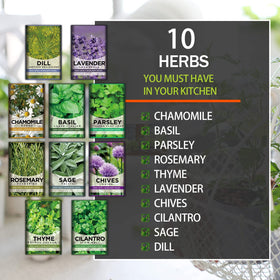 Meekear seed packets from the 10-Herb Kit ready for germination and flavor-rich harvest.