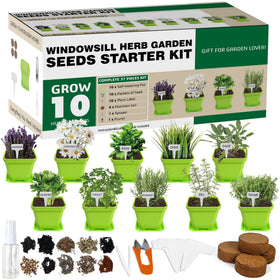 Meekear 10 herb seeds kit ready for a windowsill garden and fresh flavors