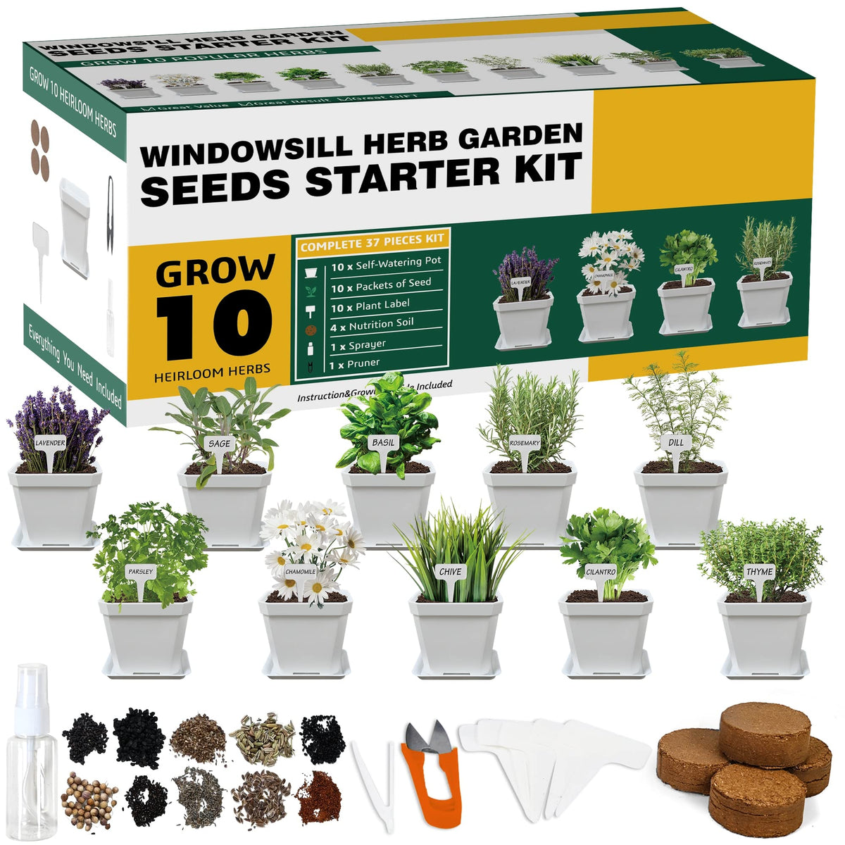 Meekear 10 herb seeds pack ready for indoor garden planning