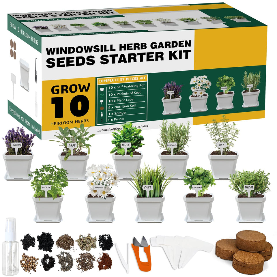 Meekear 10 herb seeds pack ready for indoor garden planning