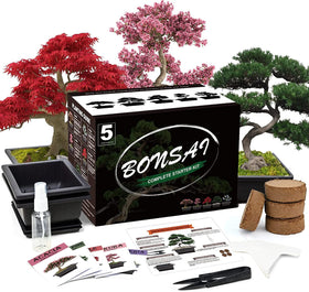 Meekear 5 self-watering bonsai pots for consistent moisture during growth