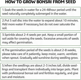 Meekear bonsai plant markers help label varieties during germination
