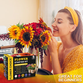 Meekear daisy garden box presents a ready to gift setup