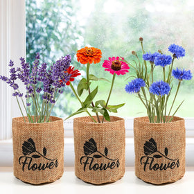Meekear planting guide assists beginners with sowing and germination steps