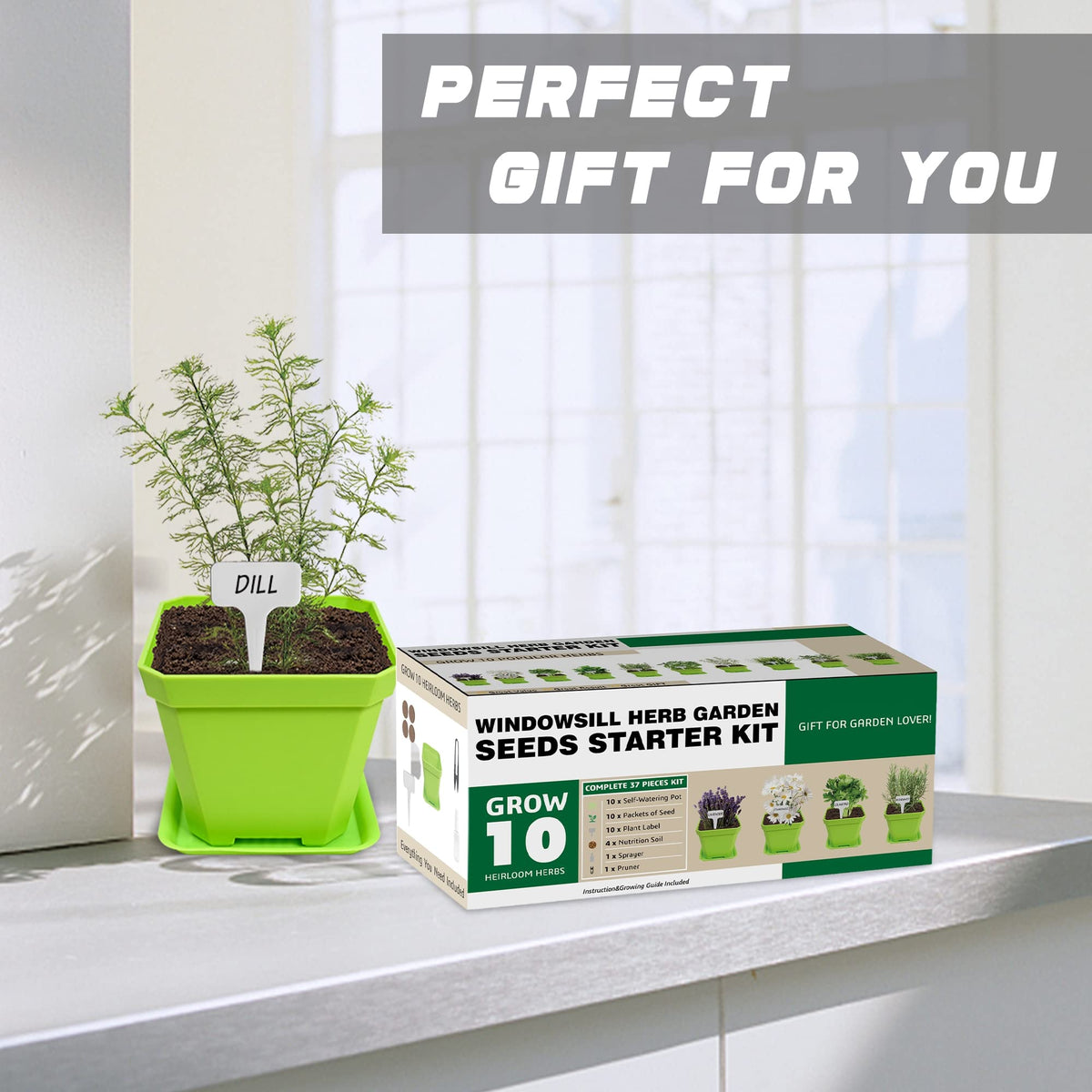 Meekear instruction and growing guide aids beginner indoor gardening