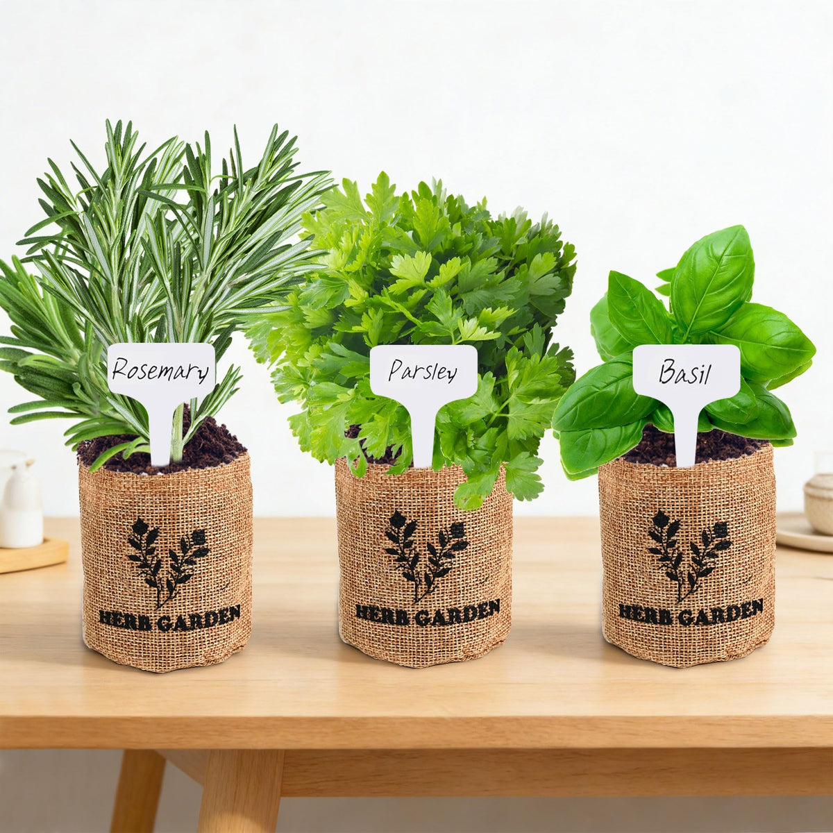Meekear kitchen herb garden thriving on windowsill for quick meals.