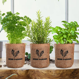 Meekear mini gardening tools ideal for light planting and maintenance