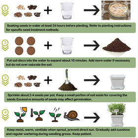 Meekear water bottle supplies steady hydration for seedlings