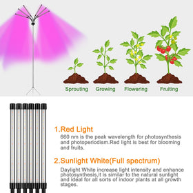 Mefflypee black tripod dimmable grow light for customized plant care.