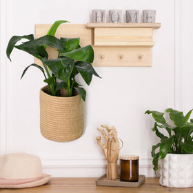 MEGASKET hanging basket on living room wall holds remotes and magazines with boho charm