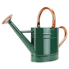 Megawodar 1 gallon can with removable spout for precise indoor watering.