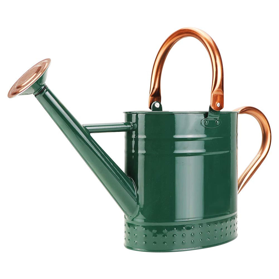 Megawodar 1 gallon can with removable spout for precise indoor watering.