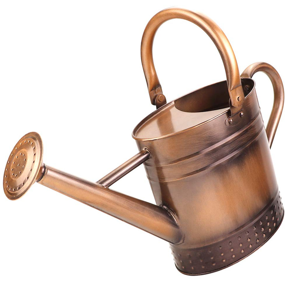 Megawodar 1-gallon watering can with embossed design for elegant indoor gardening