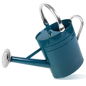 Megawodar 1 gallon metal watering can with removable spout for precise indoor plant watering.