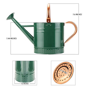Megawodar gift-ready watering can for gardening enthusiasts.