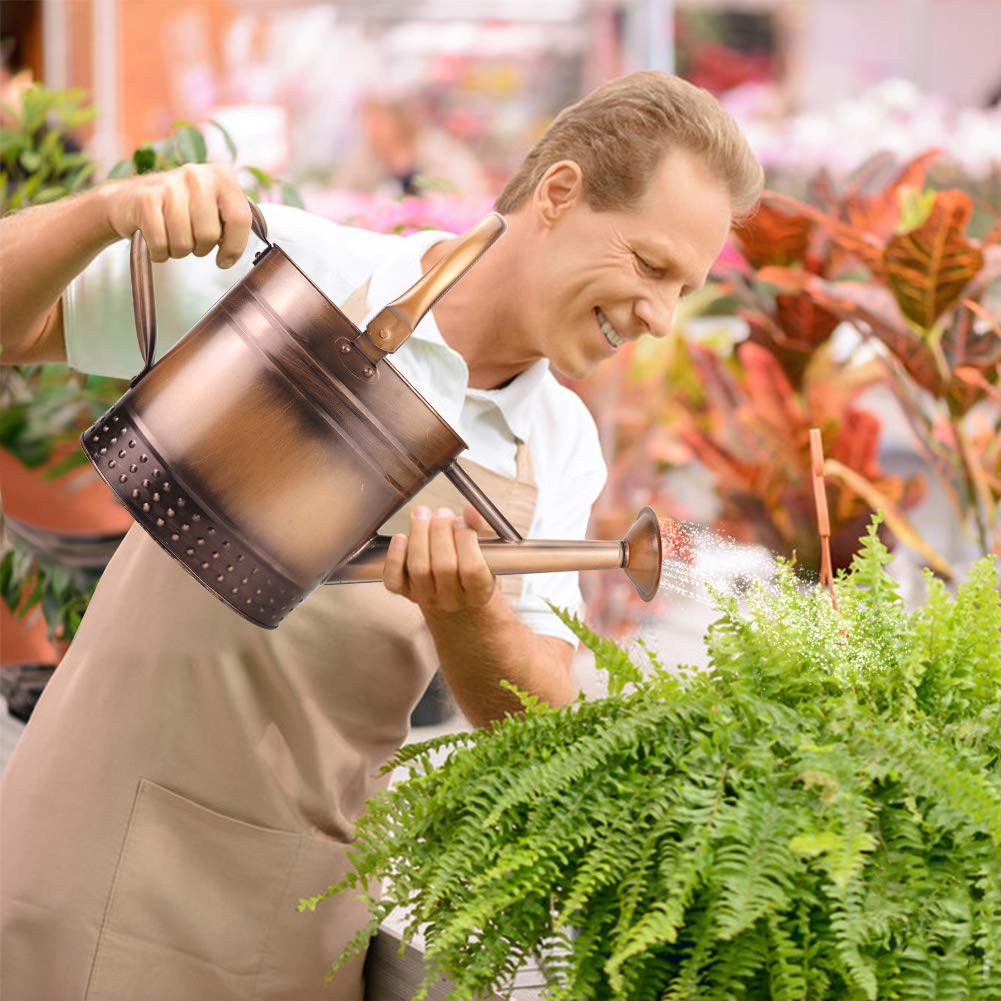 Megawodar watering can used in indoor and outdoor plant care settings