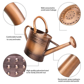 Megawodar removable spout enables precise watering for pots and shelves