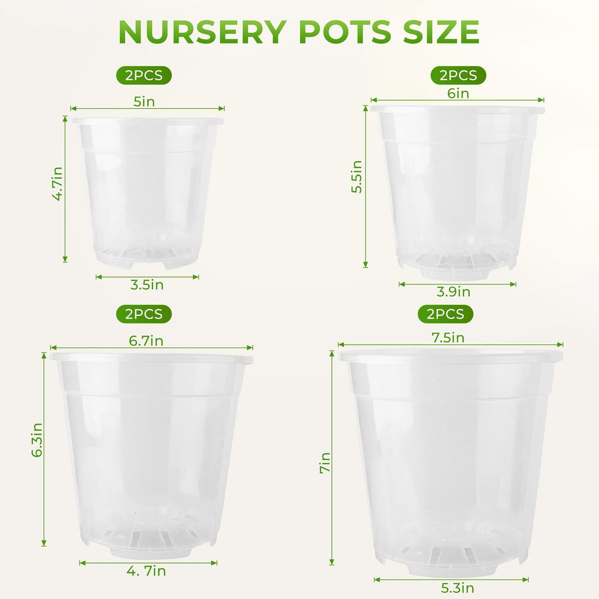 MeiVista 6-inch clear pot for seed starting and root checks