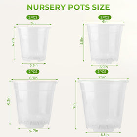 MeiVista 6-inch clear pot for seed starting and root checks