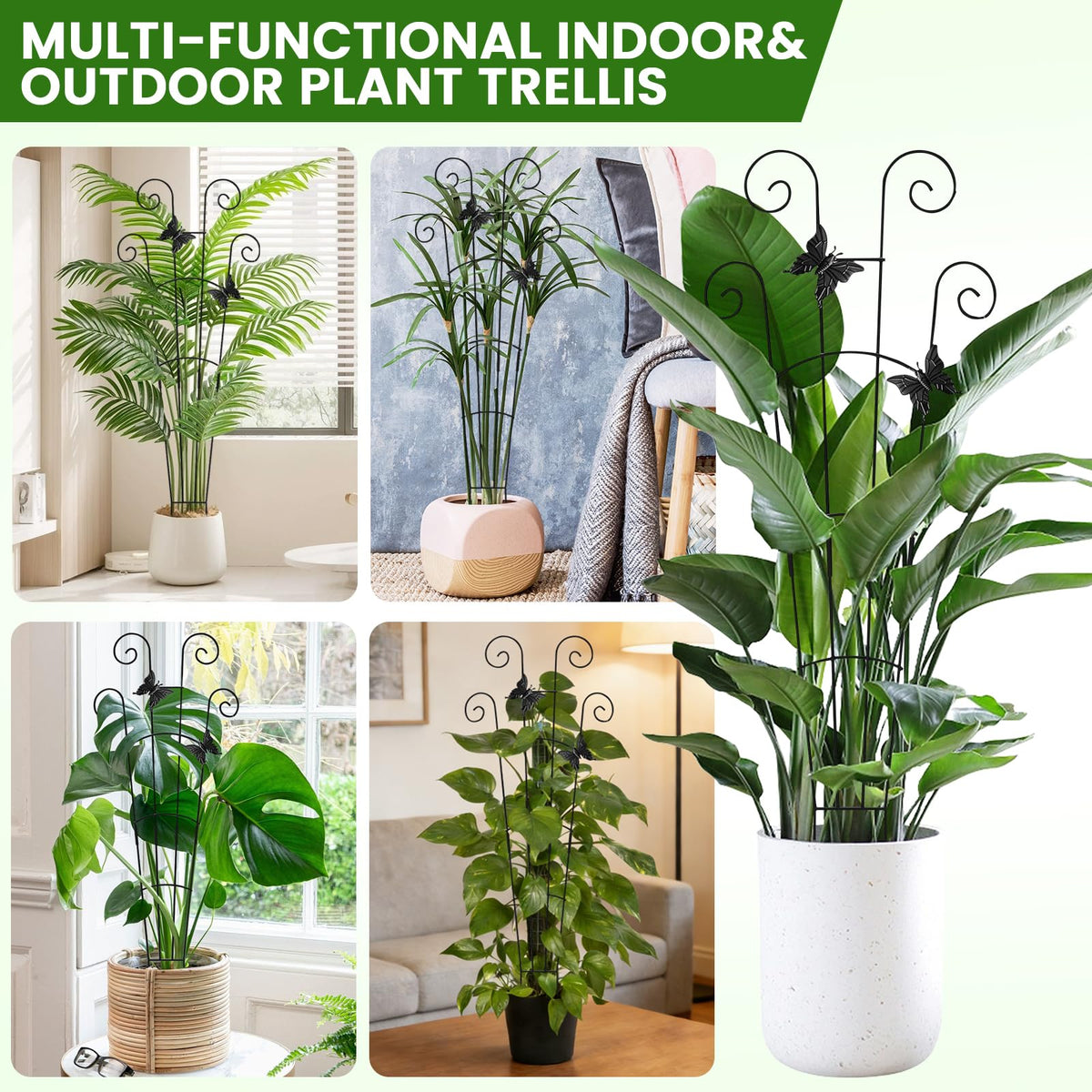 Mejenyy modern metal garden trellis design enhances patio or room décor.