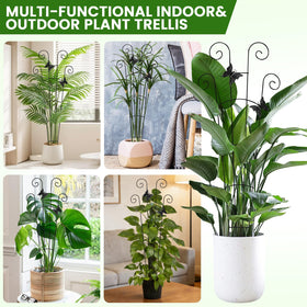 Mejenyy modern metal garden trellis design enhances patio or room décor.