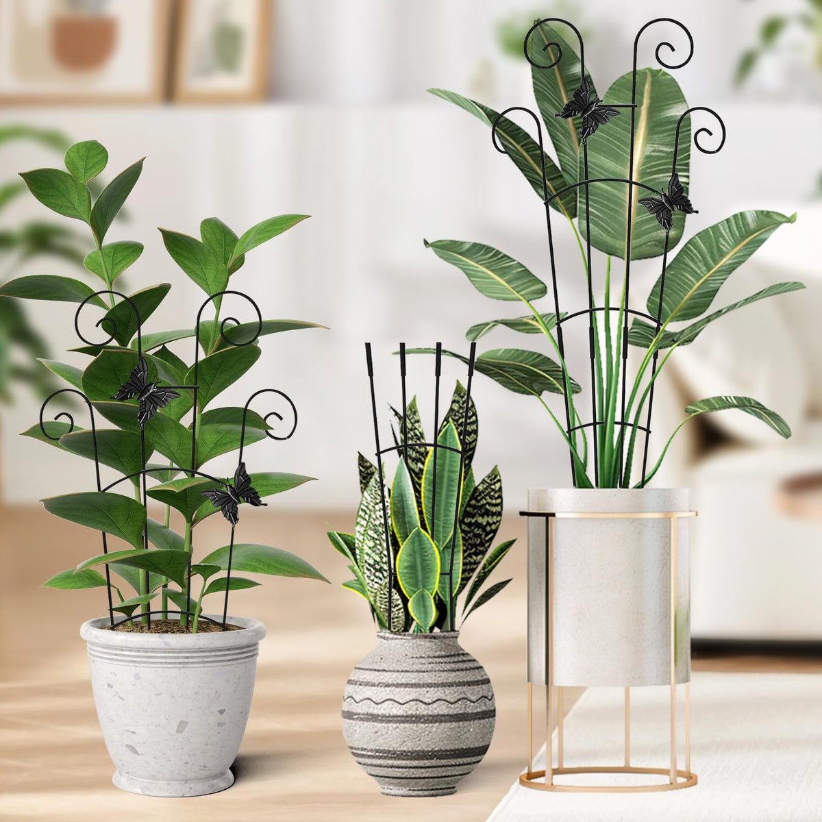 Mejenyy tall climbing-support vertical design helps vines grow upward.