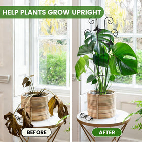 Mejenyy two-stands-for-one-plant setup lets you support multiple pots.